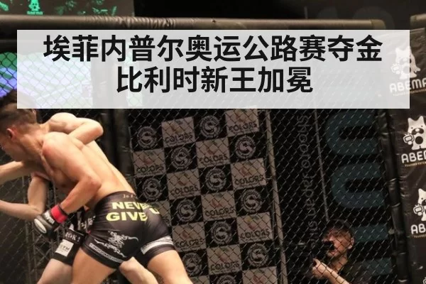 埃菲内普尔奥运公路赛夺金 比利时新王加冕